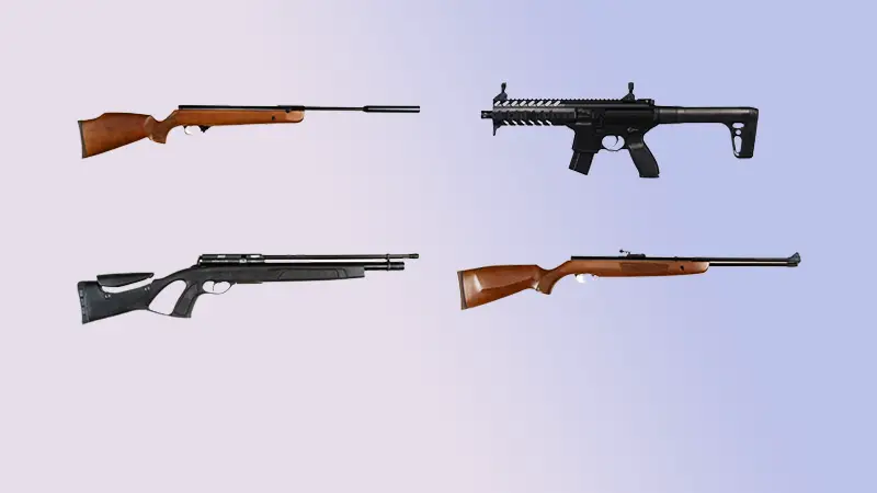 4 Types Of Rifles