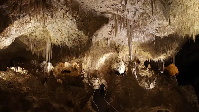  Carlsbad Caverns