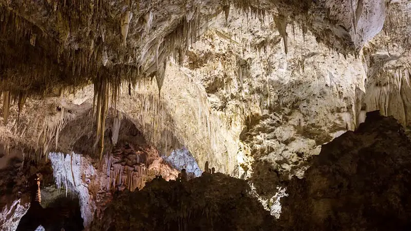 Carlsbad Caverns Fully Explored