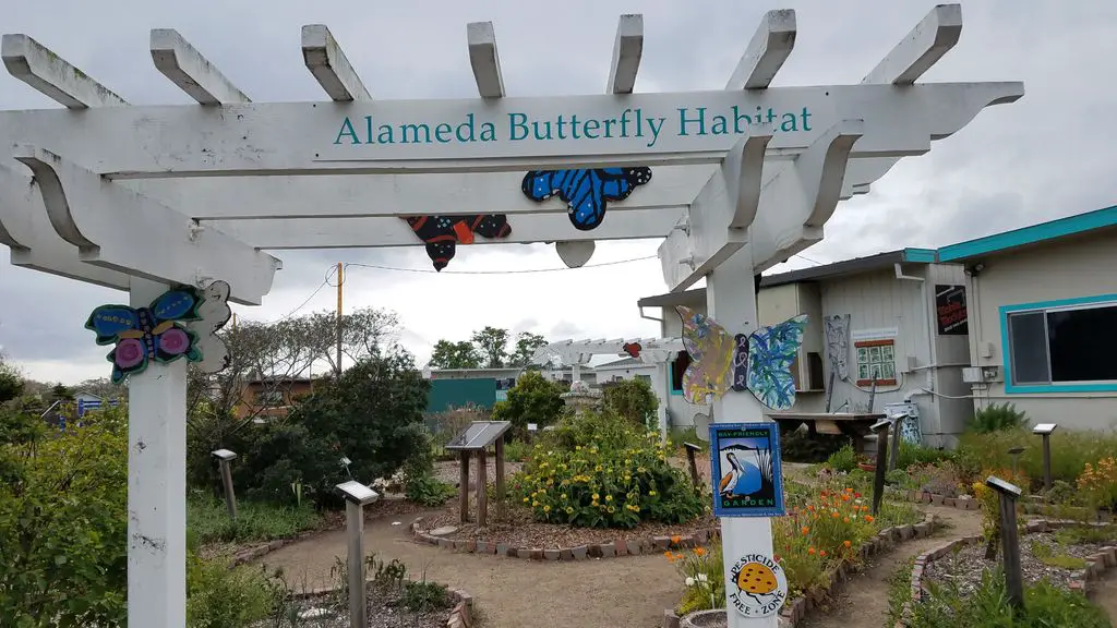Alameda Butterfly Habitat
