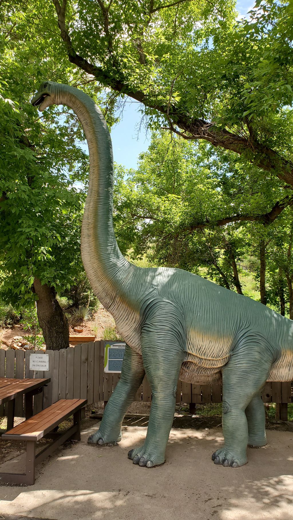 Dinosaur Ridge Discovery Center