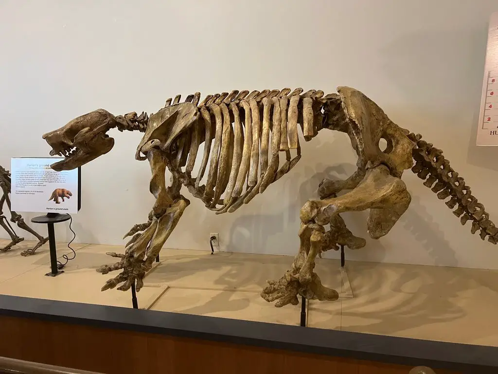 Fossil Discovery Center of Madera County