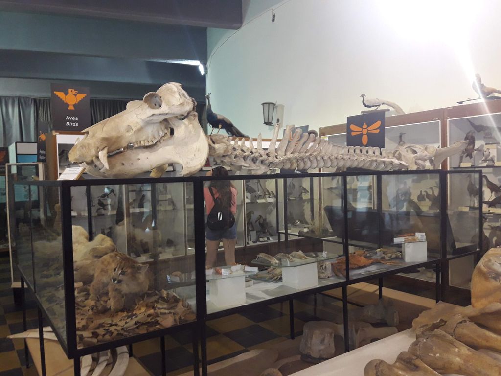 Natural History Museum San Rafael