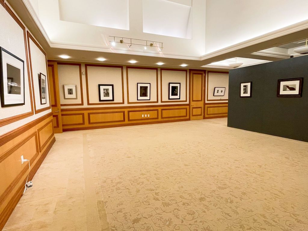 Ning Zhou Gallery