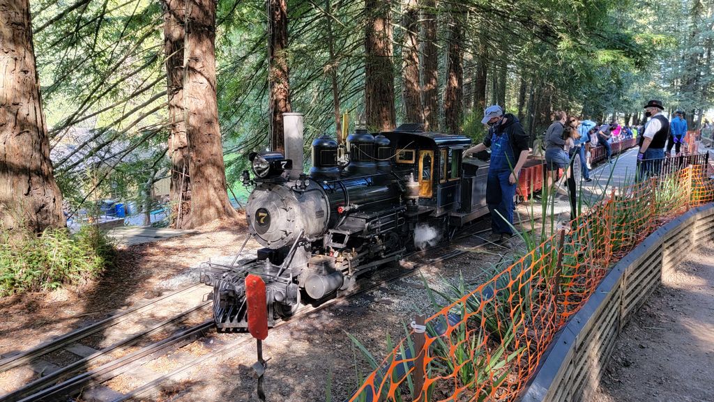 Tilden Park Steam Train at the Redwood Valley Railway