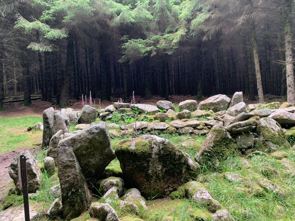 Ballyedmonduff Megalithic Tomb
