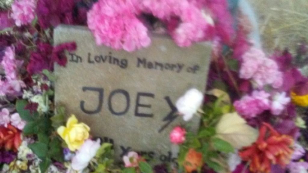 Joey Shuemakers Memorial