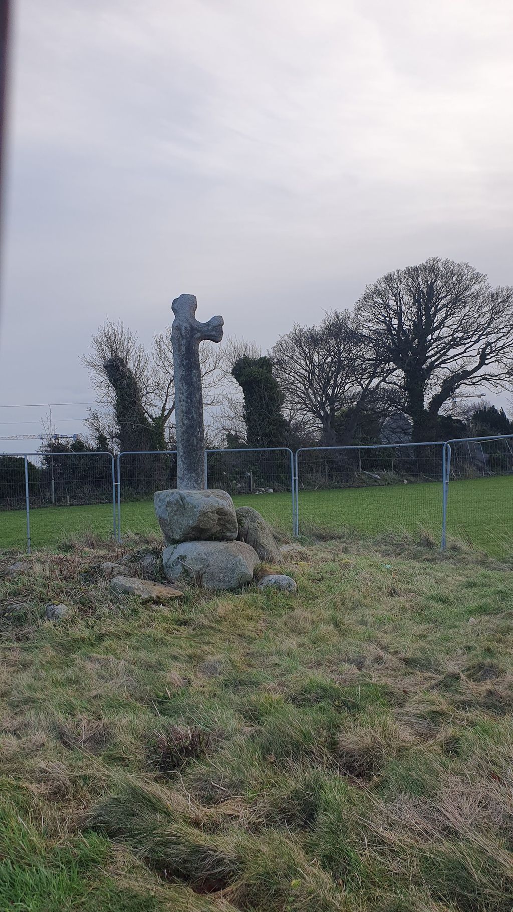 Laughanstown Crosses and wedge tomb