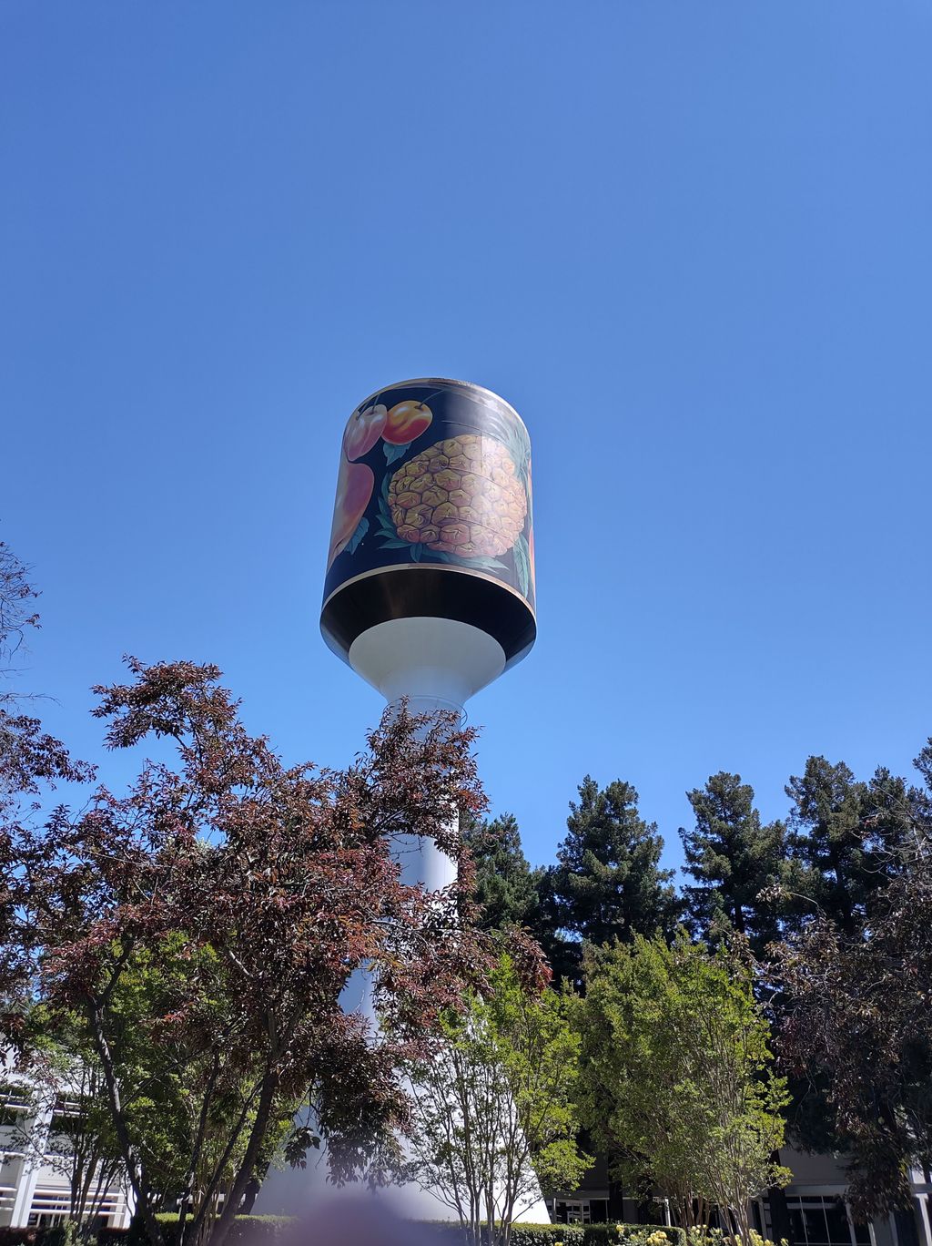 Libby's Water Tower