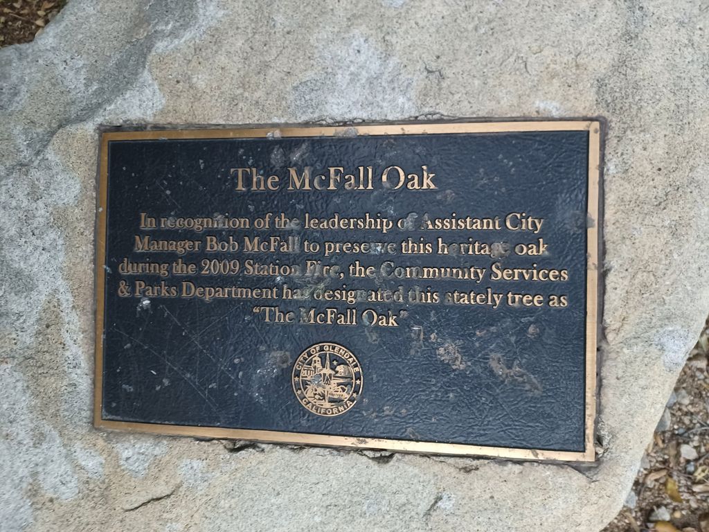 McFall Oak Monument