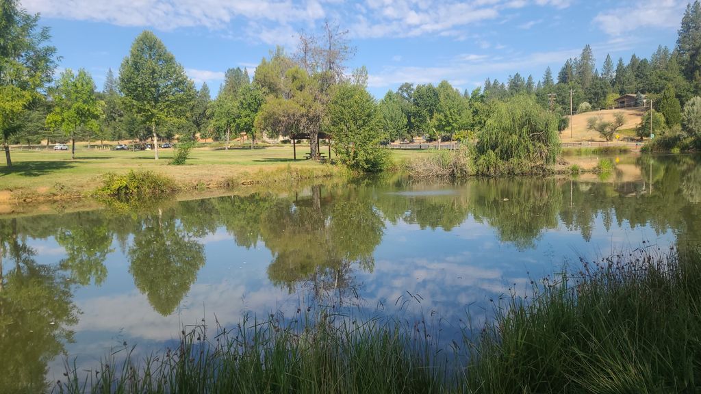 Meadow Vista Park