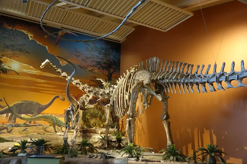 New Mexico Museum of Natural History and Science
