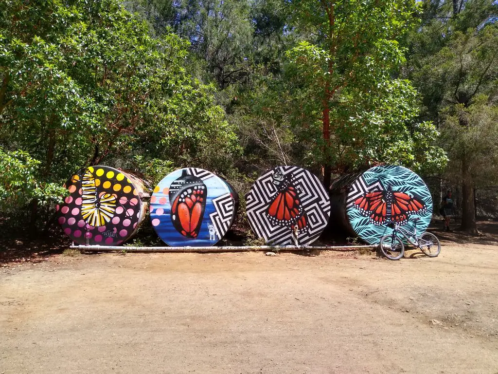 The Painted Barrels