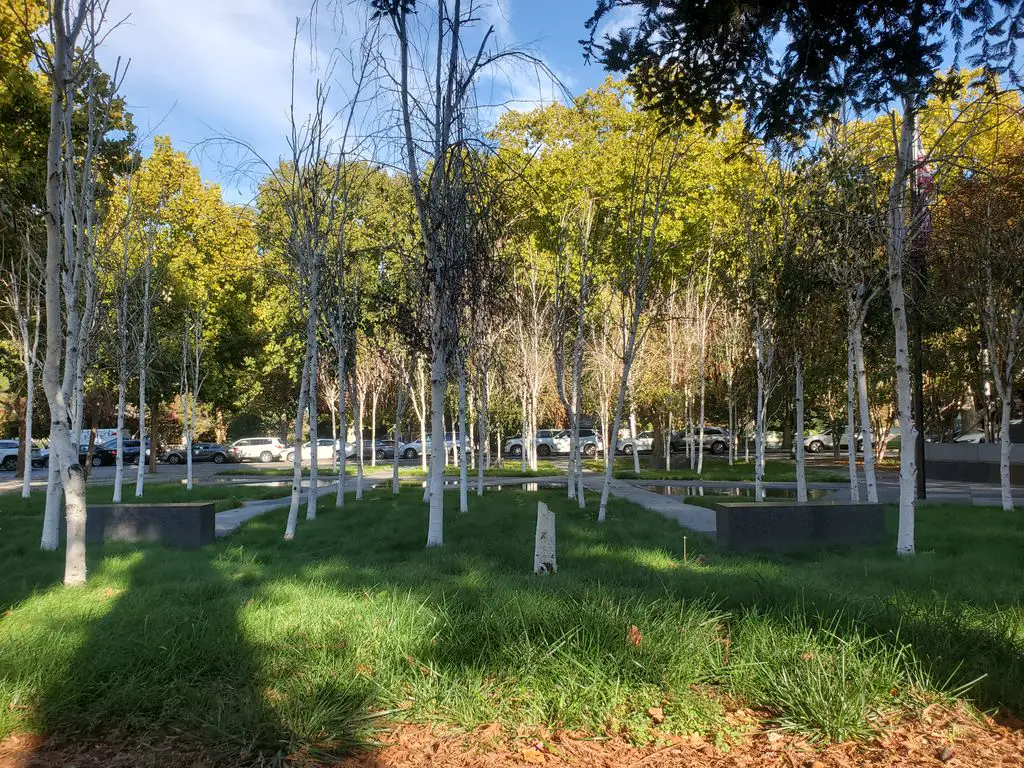Veteran Memorial Plaza by Cliff Garten